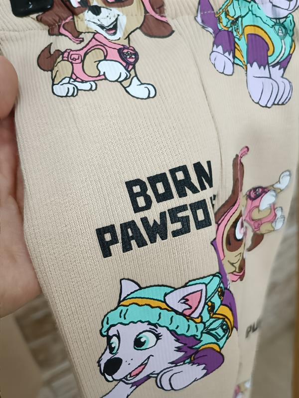 Krem Tshirtlu Pawpatrol Taytlı Takım