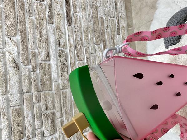 Meyve Dilimi Pembe Su Matarası 400 ML