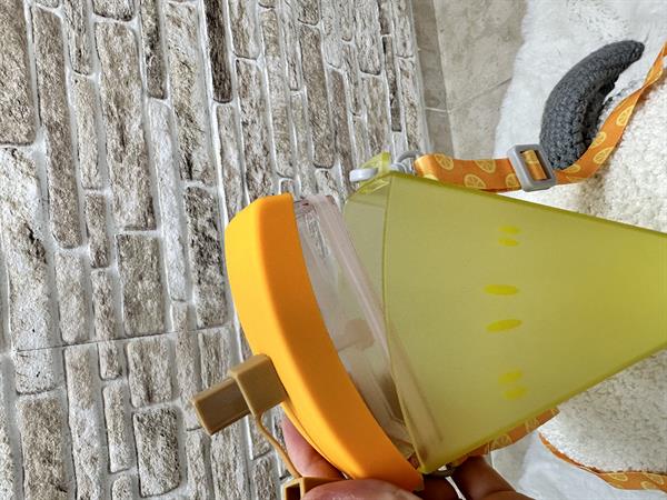 Meyve Dilimi Sarı Su Matarası 400 ML