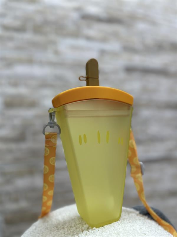 Meyve Dilimi Sarı Su Matarası 400 ML