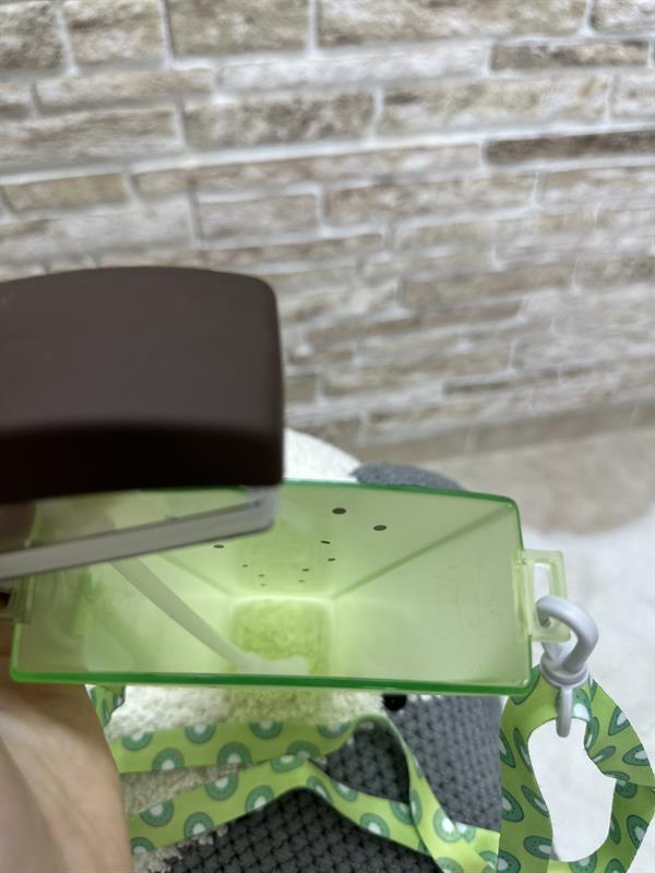 Meyve Dilimi Yeşil Su Matarası 400 ML