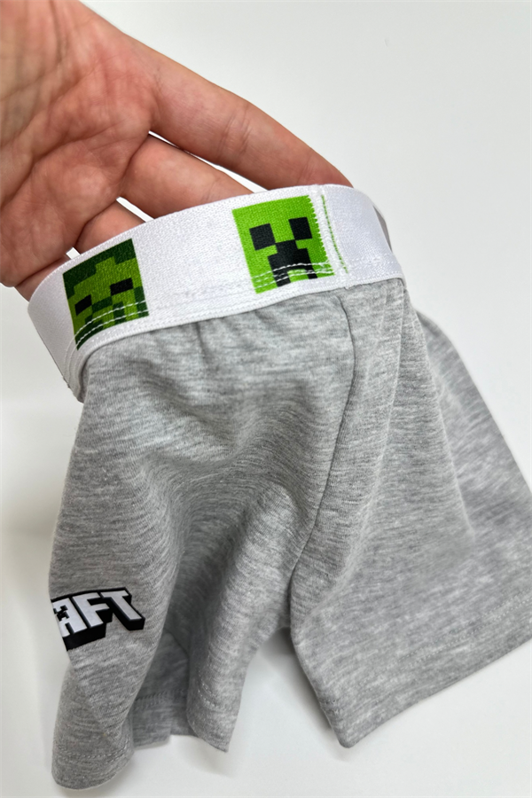 Erkek Çocuk Minecraft Gri Boxer