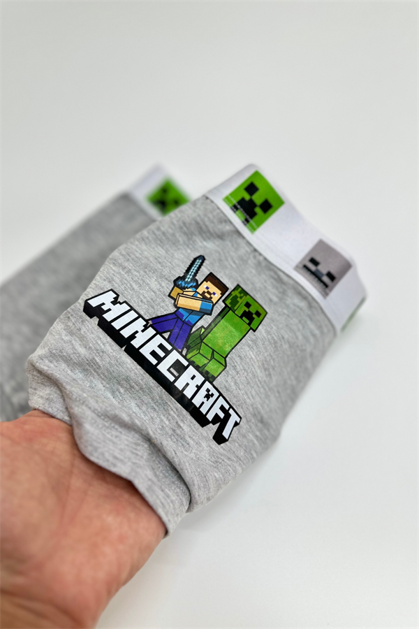 Erkek Çocuk Minecraft Gri Boxer