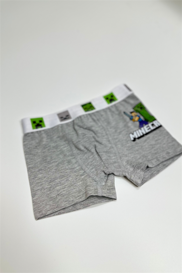 Erkek Çocuk Minecraft Gri Boxer