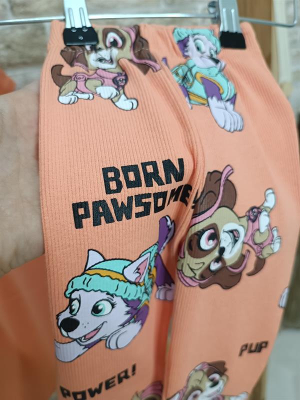 Pawpatrol Taytlı Takım