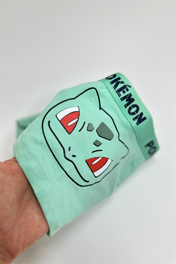 Erkek Çocuk Pokemon Su Yeşili Boxer