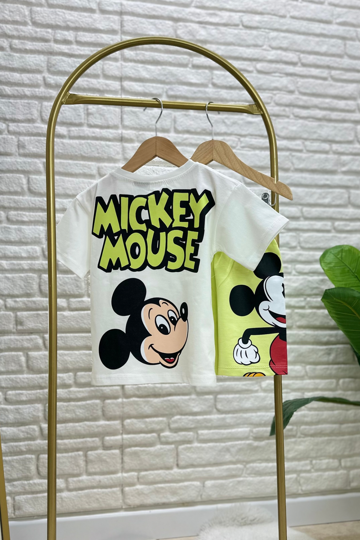 Erkek Çocuk Mickey Su Yeşili Şortlu Takım  
