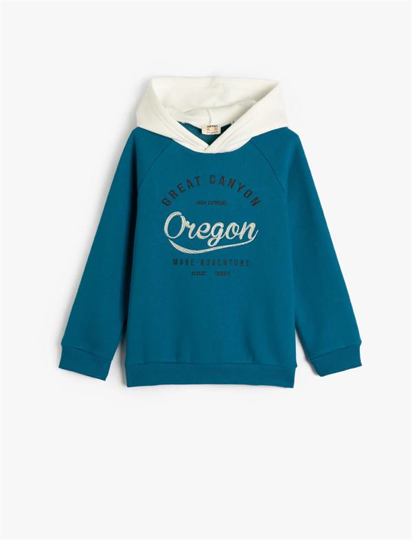 Mavi Erkek Çocuk Kapşonlu Sweatshirt Uzun Kollu İşleme Detaylı Şardonlu