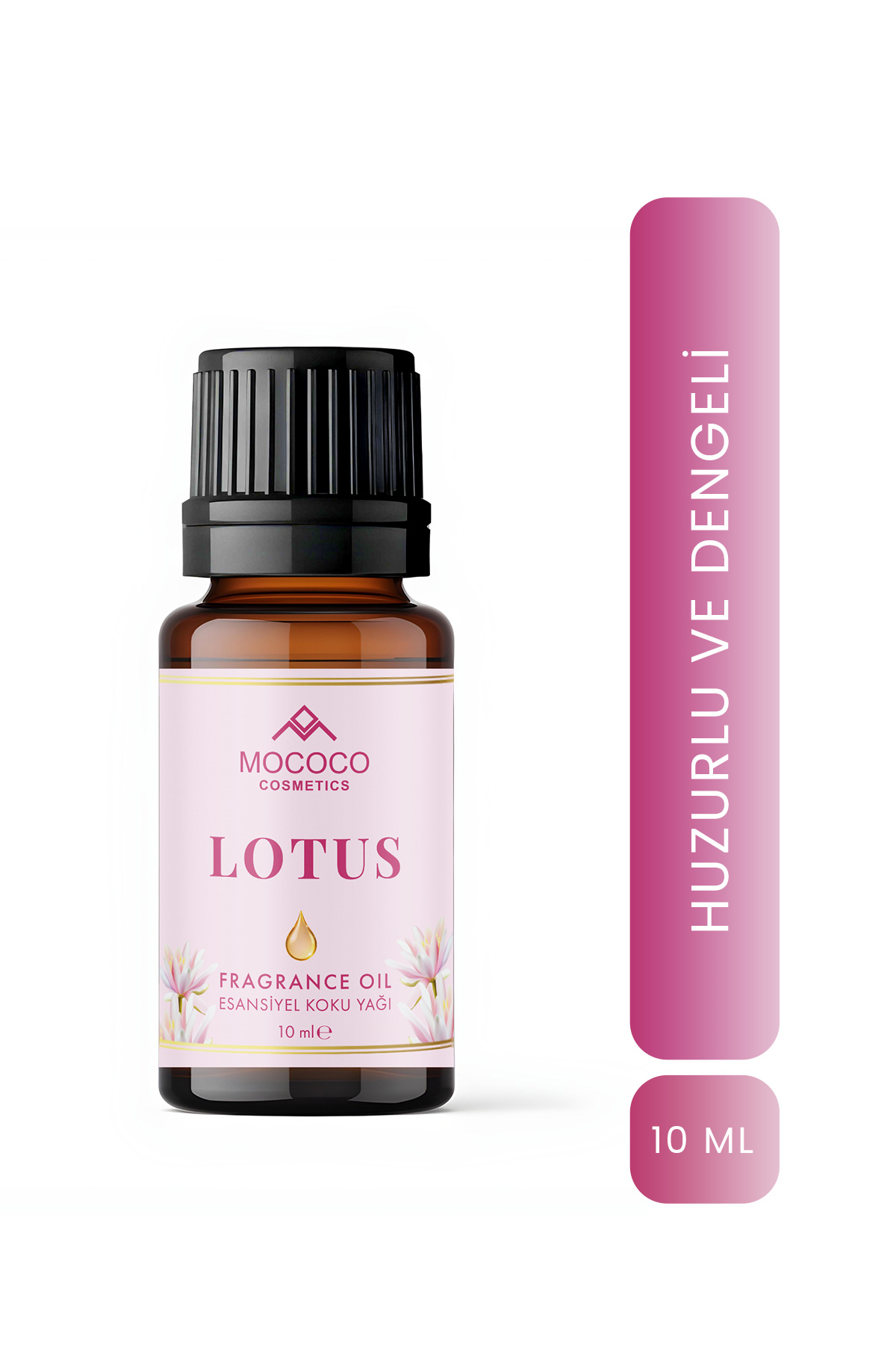 LOTUS