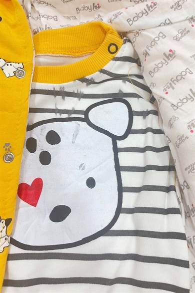 Erkek Sarı Hırkalı Bebek Takımı