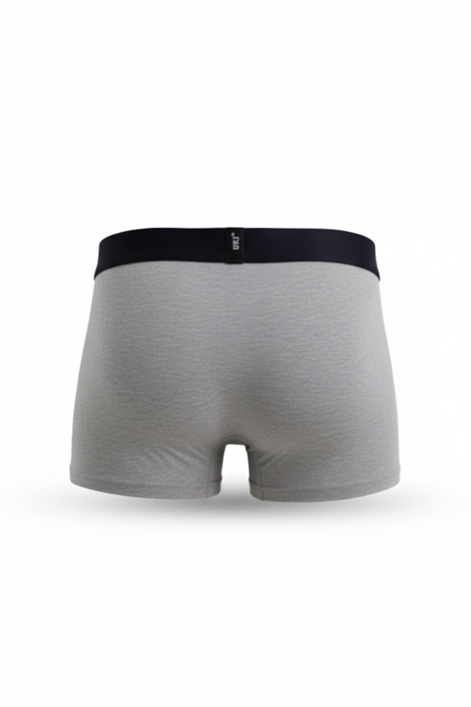 GRİ BOXER TEKLİ