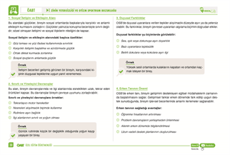 2026 MEB - AGS ÖABT Atayan Özel Eğitim Öğretmenliği Konu Anlatım Kitabı