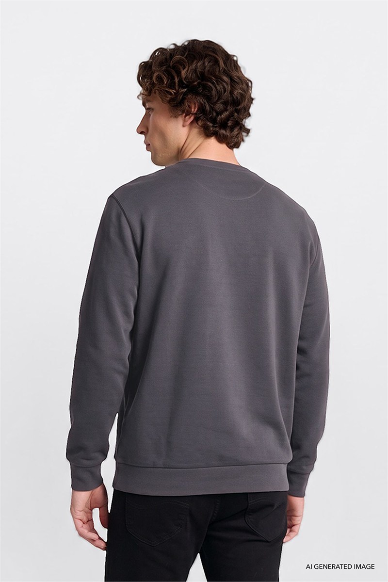 Erkek Small Logo Sweatshirt Anthracita