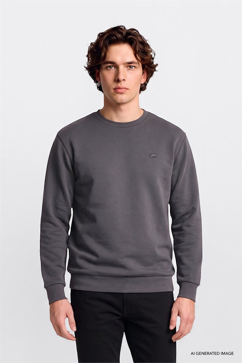 Erkek Small Logo Sweatshirt Anthracita