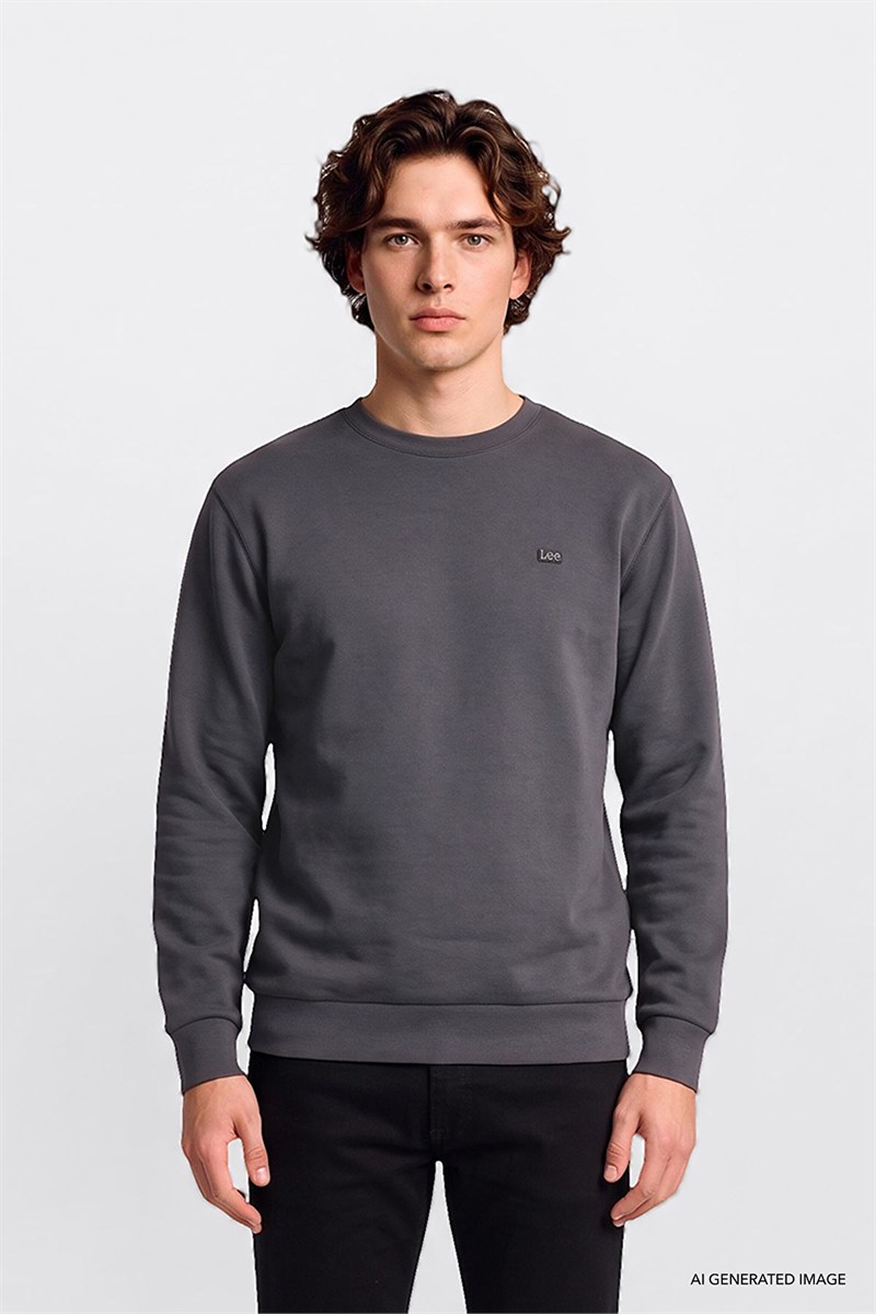 Erkek Small Logo Sweatshirt Anthracita
