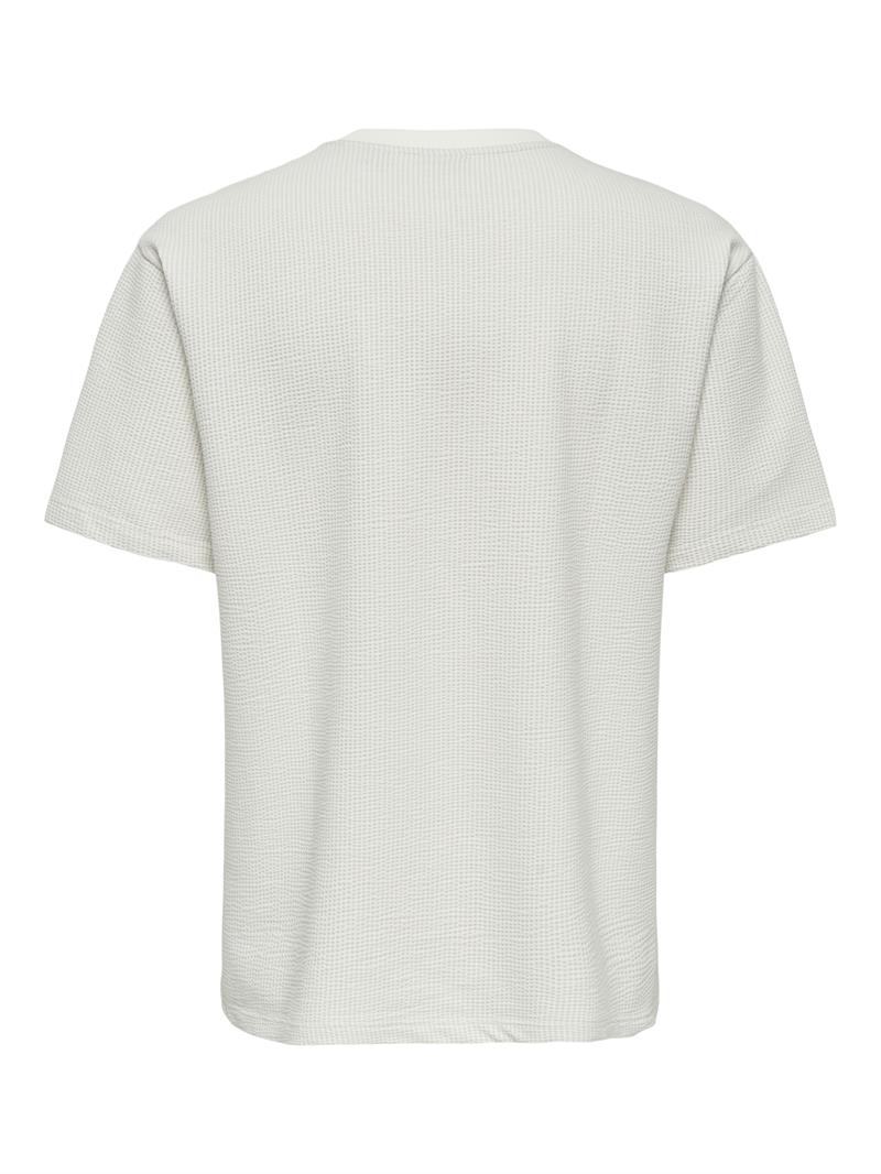 ONSKIAN LIFE RLX SS STRP TEE Egret