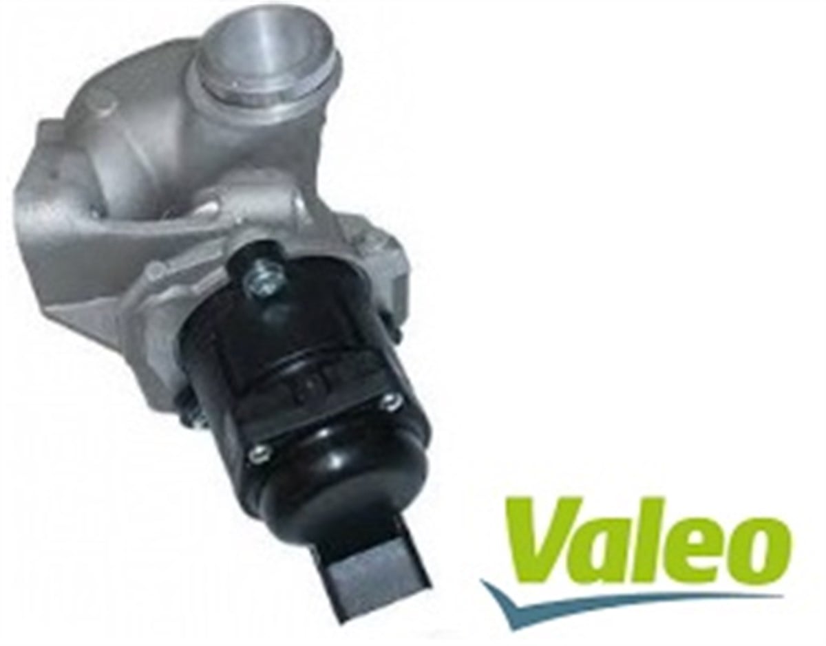 EGR VALFİ NS40/V50/C30