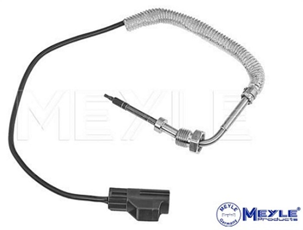 EGZOZ SICAKLIK SENSÖRÜ D5  C30/C70/S60/S80/V60/V70/XC60