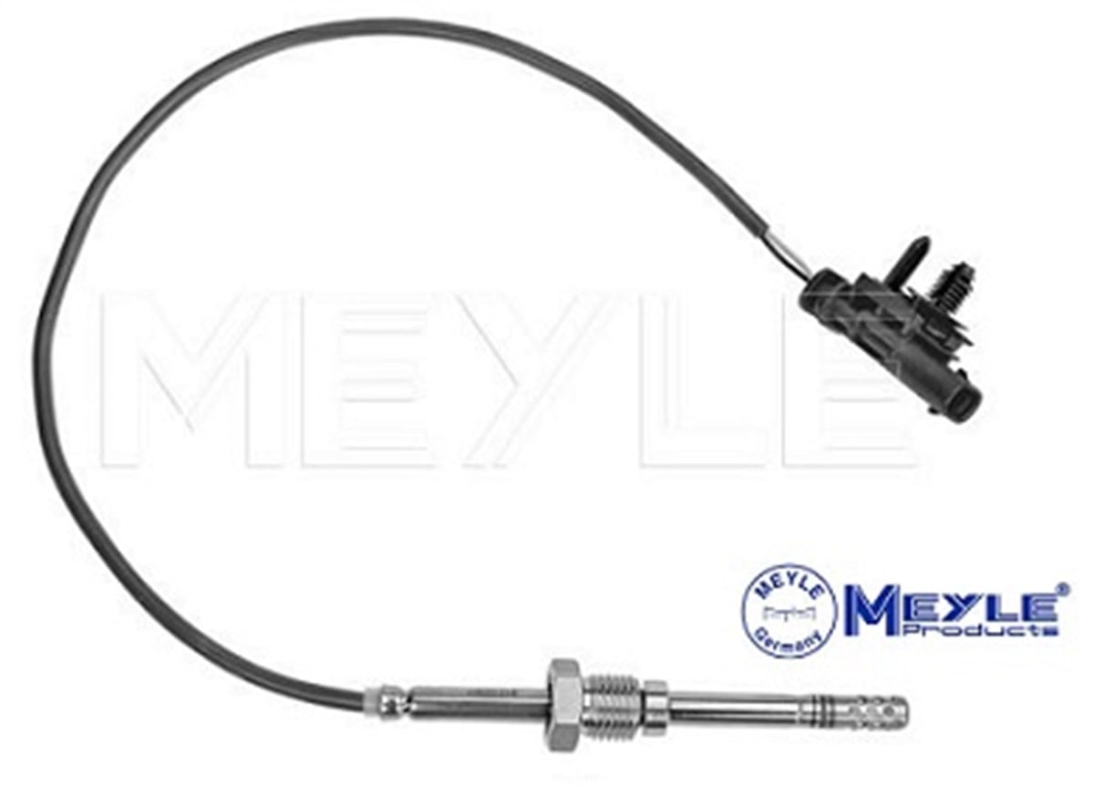 EGZOZ SICAKLIK SENSÖRÜ D5  S60/S80/V60/V70/XC60/XC70  D5