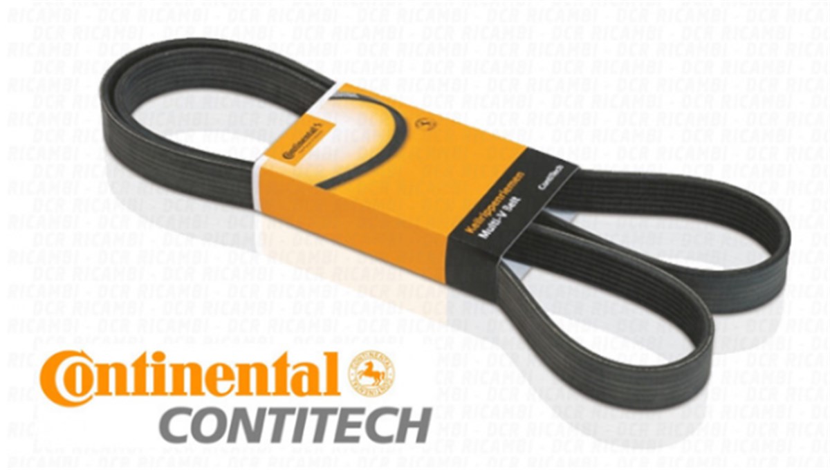 V KAYIŞ NS40/V50/C30 1.8 B/2.0B