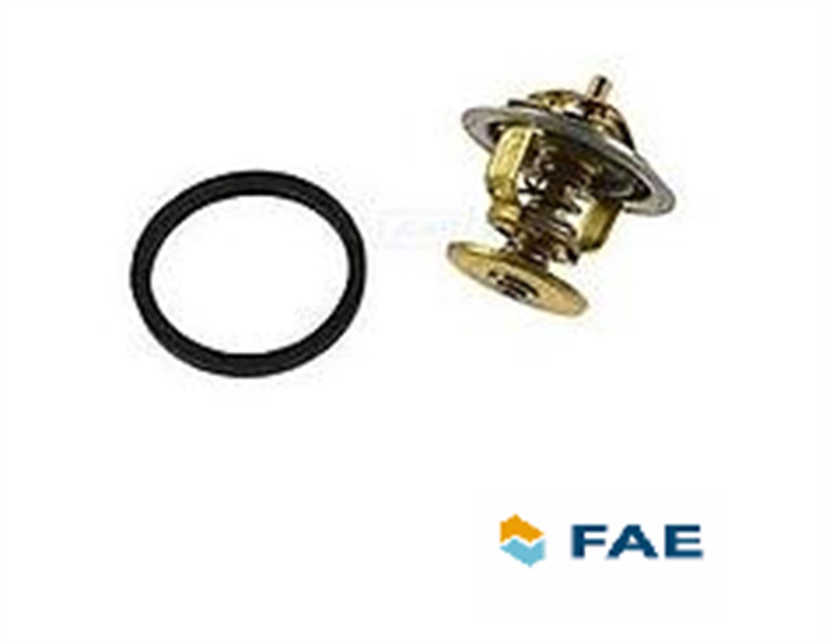 XC90 / S80  TERMOSTAT 