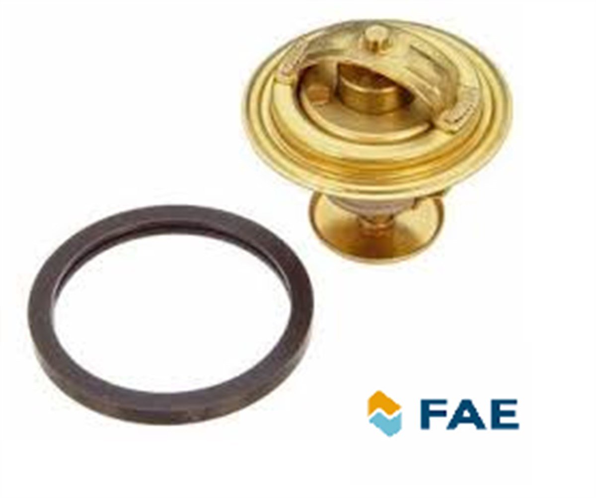  D4164T TERMOSTAT  NS40/V50/C30