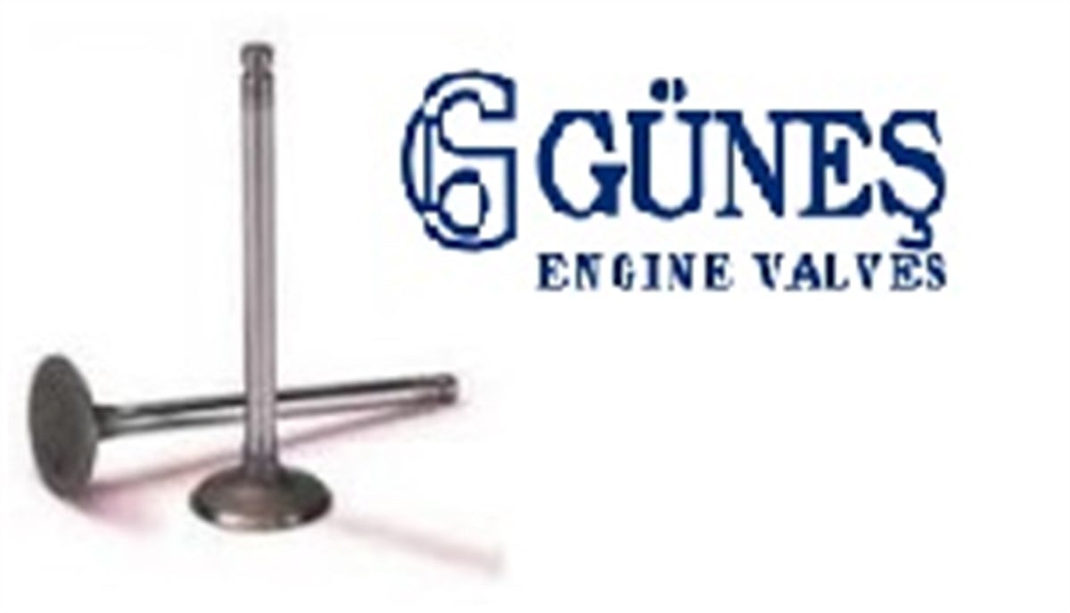 EGZOZ VALFİ (SUBAP) NS40/NS80/C30/C70 D4204T