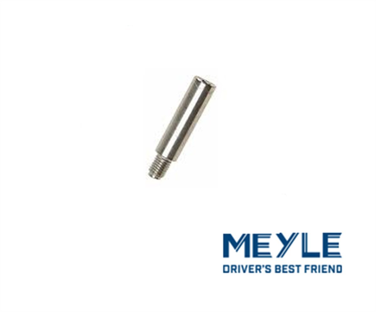 FREN KALİPERİ PİMİ ARKA  S60/S80/V70
