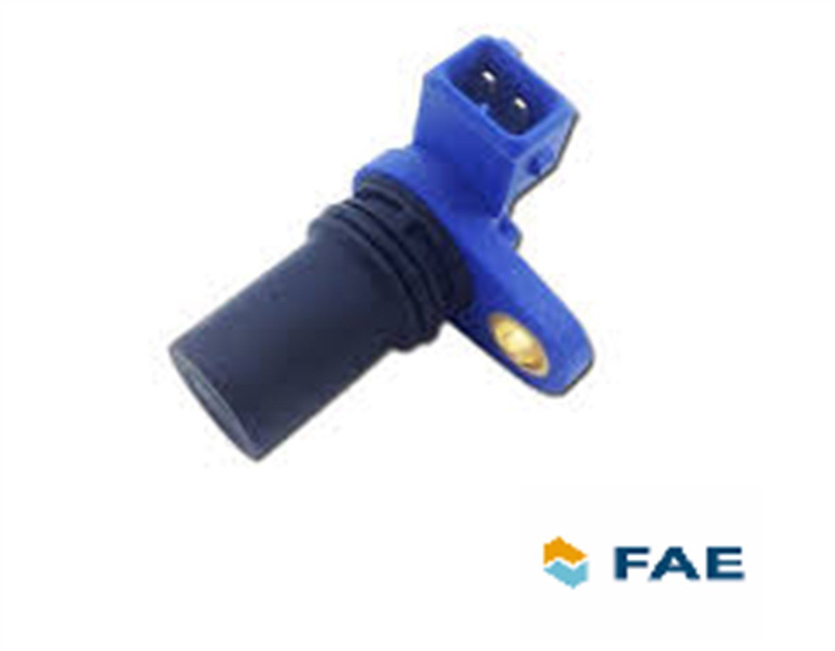 EKSANTRİK MİLİ SENSÖRÜ NS40/V50/C30 B4164S3 