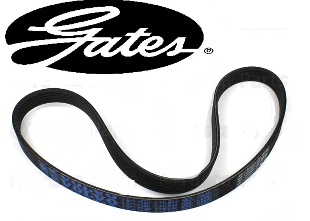 NS40/V50/C30 V KAYIŞI 2.5B/D5