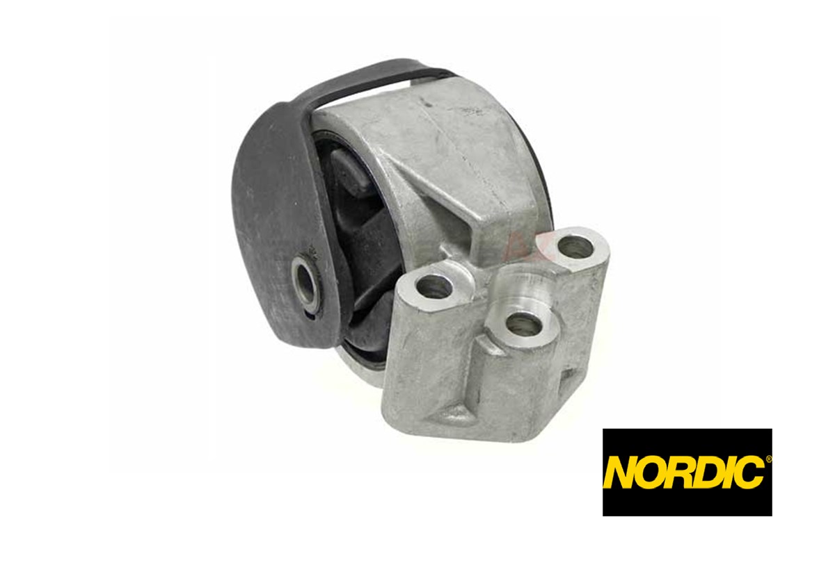 ŞANZUMAN KULAĞI S40-V40