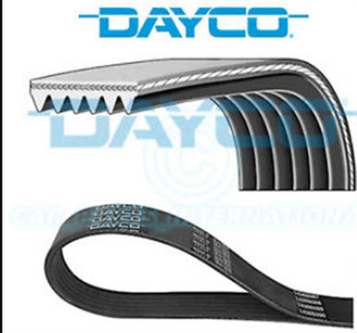 V KAYIŞI NS40/V50/C30/S60/V60/S80 1.6DİZEL D2 2011-