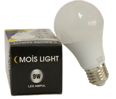 Led Ampul 9W