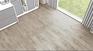 Agt Parke Effect V Logan 8x191x1200 Ac4