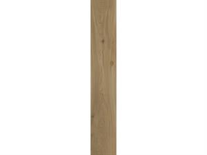 20*120 Gs-N9025 Uddo Gold