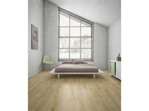 20*120 Gs-N9025 Uddo Gold