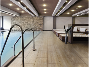 30*60 Gs-N7002 Natura Bej -X