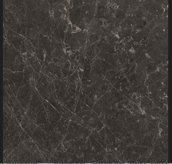 59*59 R Gs-D8724r Adore Antrasıt -X 310100905386