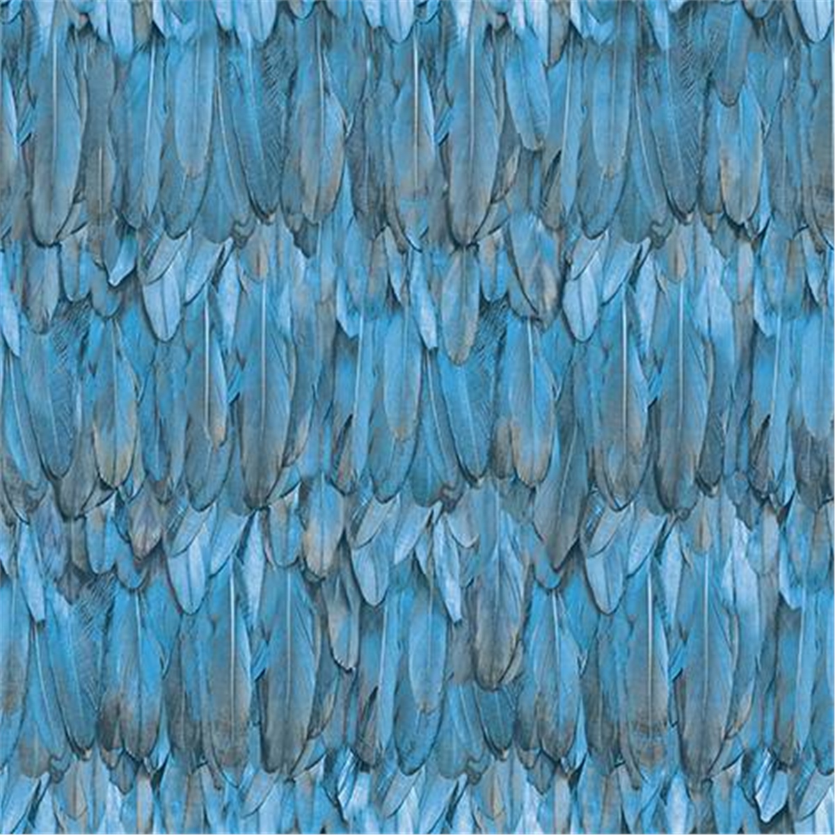 Adawall  TROPİCANO 16 m²