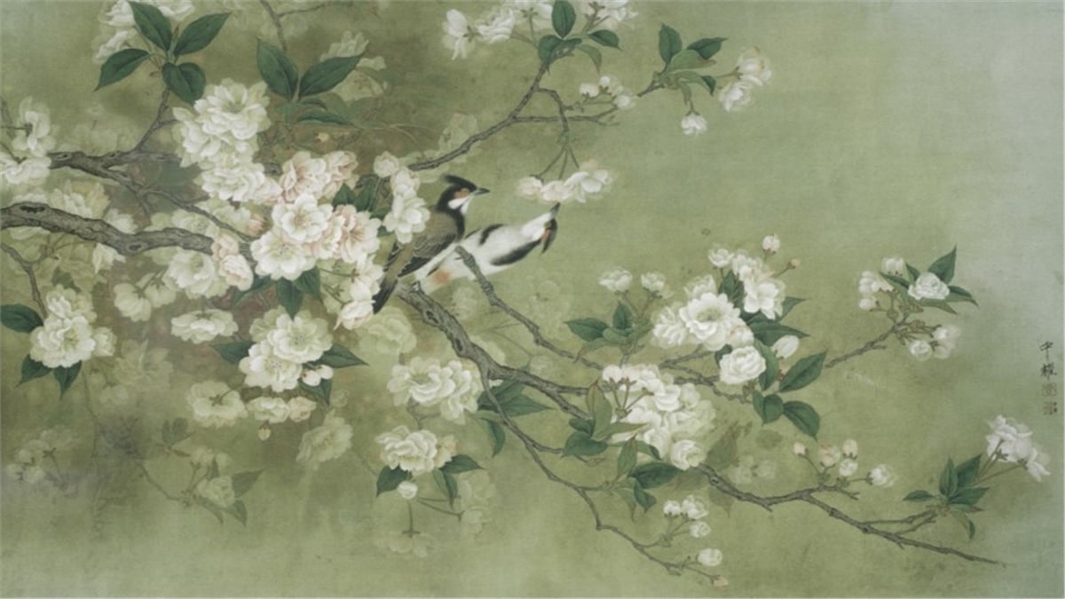 Ağaç ve Dal Duvar Kağıtları 1Ağaç ve Dal Duvar Kağıdı