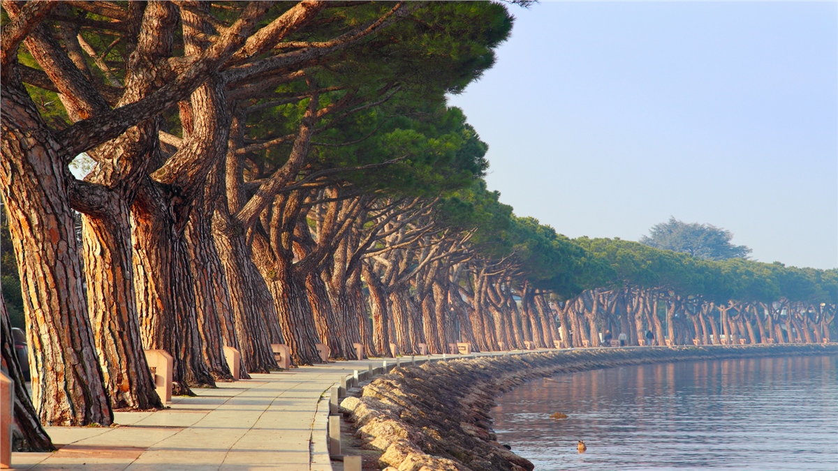 Akarsu ve Şelale Duvar KağıtlarıAkarsu ve Şelale Duvar Kağıdı