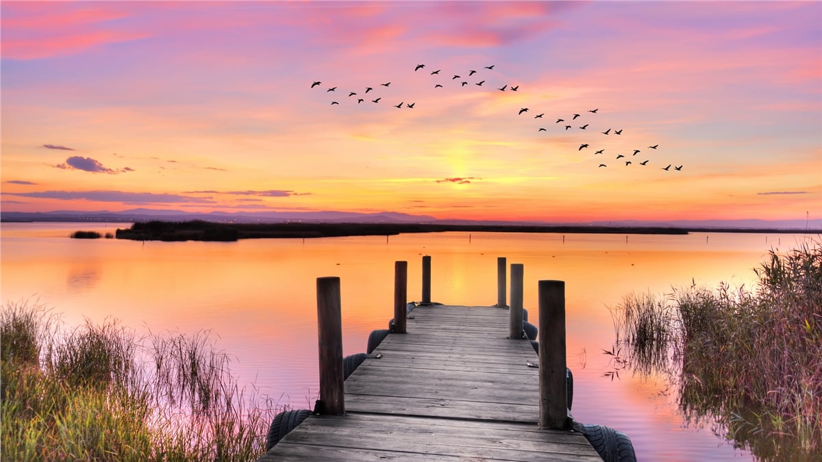 Akarsu ve Şelale Duvar KağıtlarıAkarsu ve Şelale Duvar Kağıdı