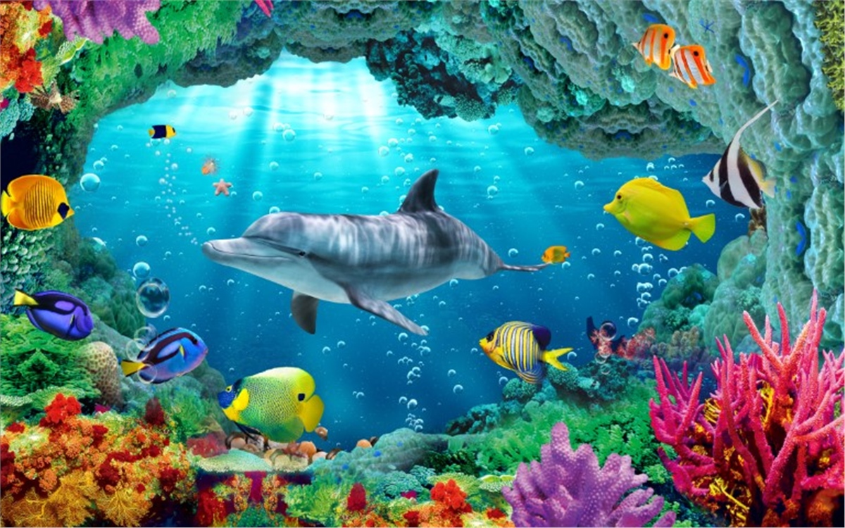 Akvaryum Duvar KağıtlarıAkvaryum Duvar Kağıdı
