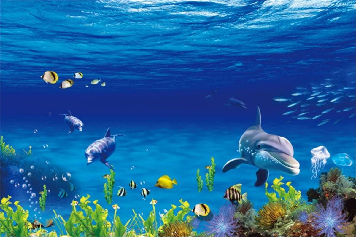 Akvaryum Duvar KağıtlarıAkvaryum Duvar Kağıdı