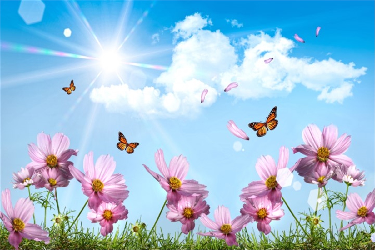 Çiçek Duvar Kağıtları 2Çiçek Duvar Kağıdı