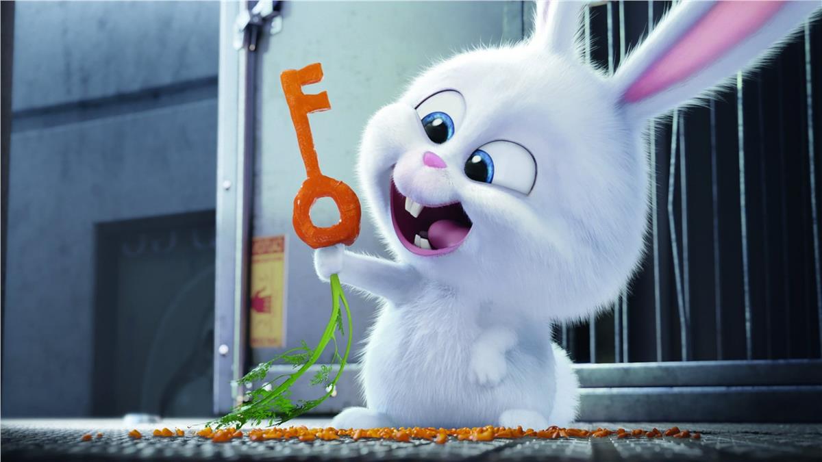 Cartoon NetworkÇizgi Film Duvar Kağıdı