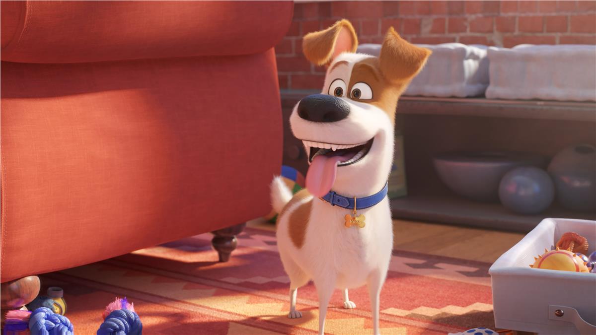 Cartoon NetworkÇizgi Film Duvar Kağıdı