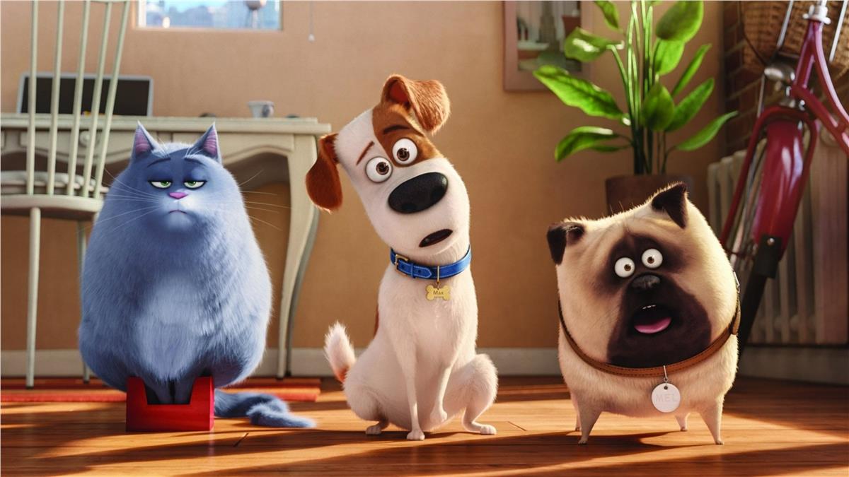 Cartoon NetworkÇizgi Film Duvar Kağıdı