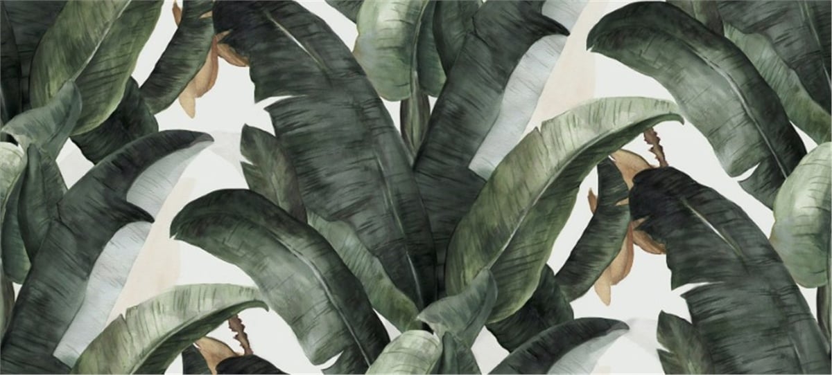 Tüy ve Yaprak Duvar KağıtlarıDuvar Kağıdı