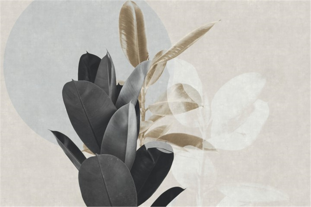 Tüy ve Yaprak Duvar KağıtlarıDuvar Kağıdı